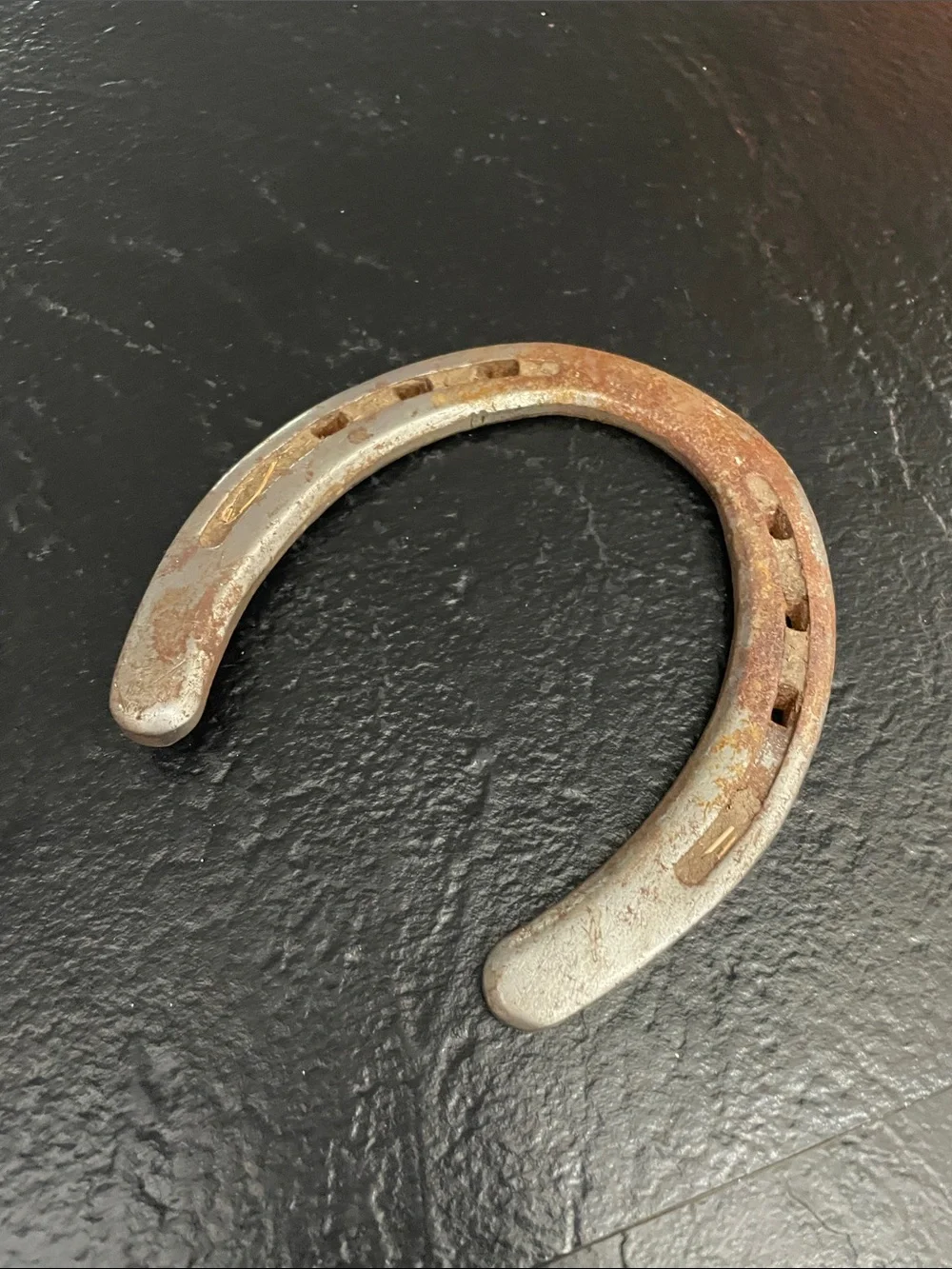 Classic Rustic Horseshoe - Silver/Brown